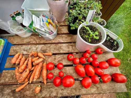 Mi è parso d'aver passato più tempo in giardino