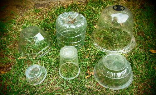 Cupole protettive trasparenti per le piante per l'inverno